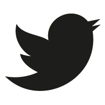Twitter Advertising Services